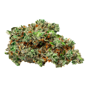 BOLD - Root Beer Float - Indica - 3.5g