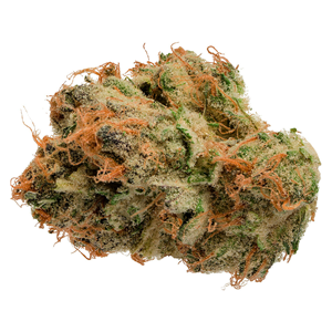 Jonny Chronic - Tropicanna - Sativa - 3.5g