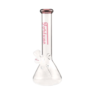 10" Beaker -  N103805