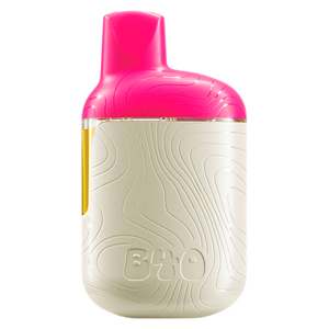 Back Forty - Watermelon Ice Disposable Pen - Indica - 0.95g