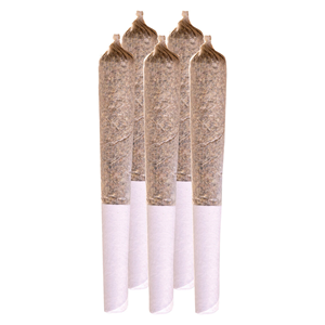 Station House - Pink Kush Pre-Roll - Indica - 5x0.5g